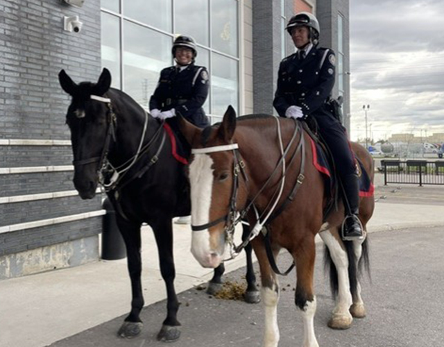 2026 Ontario Women In Law Enforcement Gala