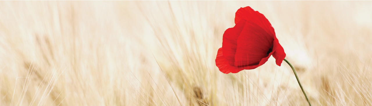 Remembrance Day Tuesday November 11th 2025